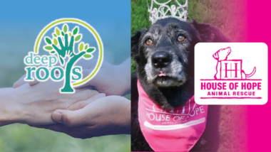 An image with the Deep Roots Homeless Shelter and House of Hope Animal Rescue Charities