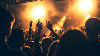 A crowd at a concert raising their hands.